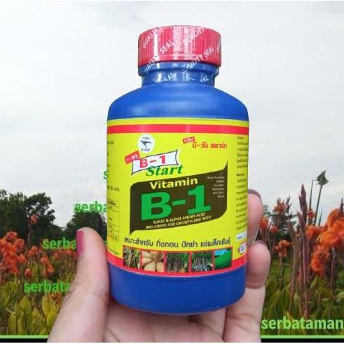 Vitamin B1 Thailand Original 100ml / B1 Tanaman