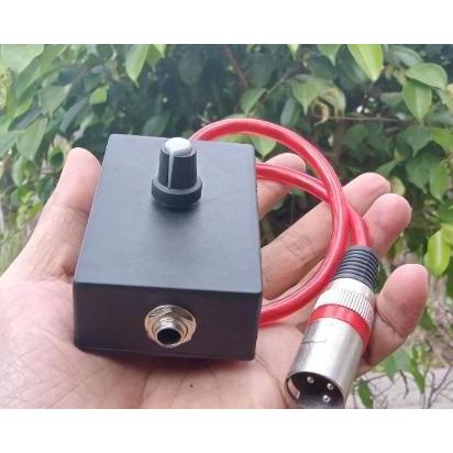 ANTI FEDBACK/STORING MIC