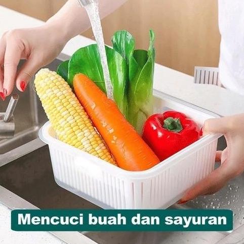 KOTAK FRESH SARINGAN SAYURAN | BOX TEMPAT TIRISAN BAWANG/BUAH/SAYUR
