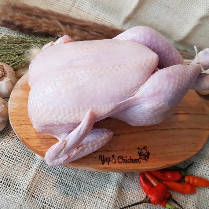 Beff- Ayam Karkas Frozen 500Gr - 600Gr