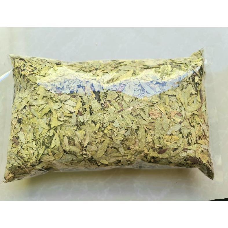 (Terbaru) Daun Jati Cina 500gr - Teh Daun Jati Cina Asli (Terlaris)
