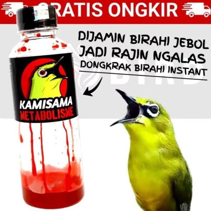 KAMISAMA METABOLISME PAKAN BURUNG PLECI SOGON KOLIBRI ( BUKAN DEXTRO)