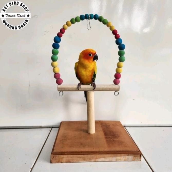 Stand tangkringan burung sunconure cockatiel