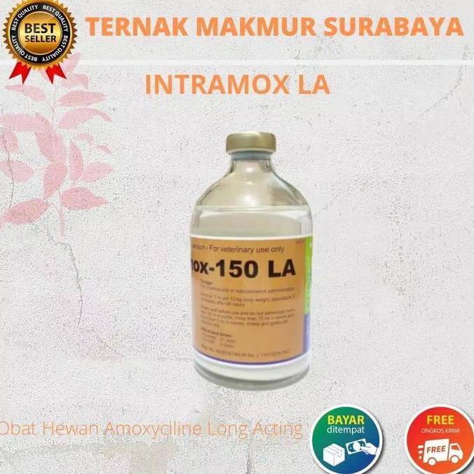 INTRAMOX LA 100ML