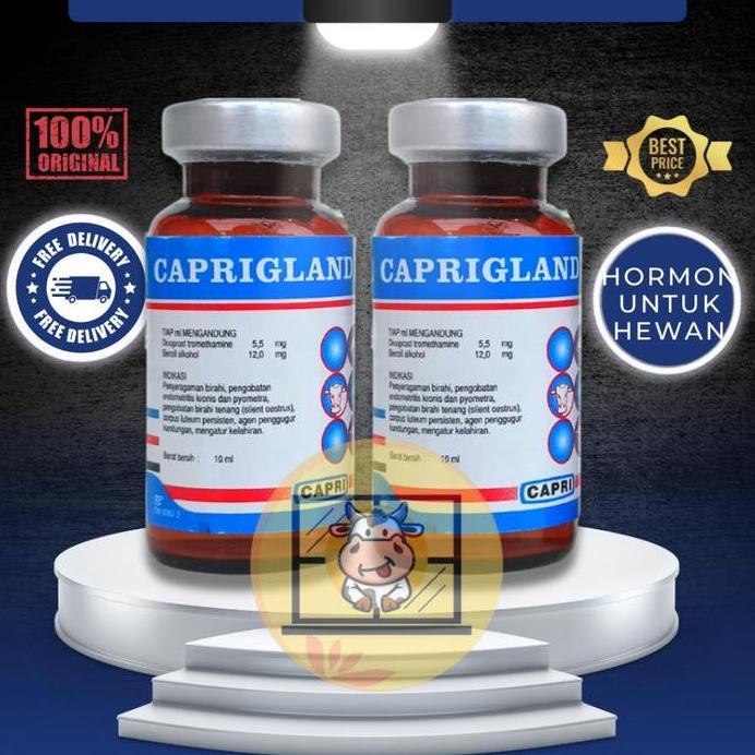 CAPRIGLANDIN INJ 10 ML - Hormon Sinkronisasi Estrus Sapi Kambing Domba Kuda Babi