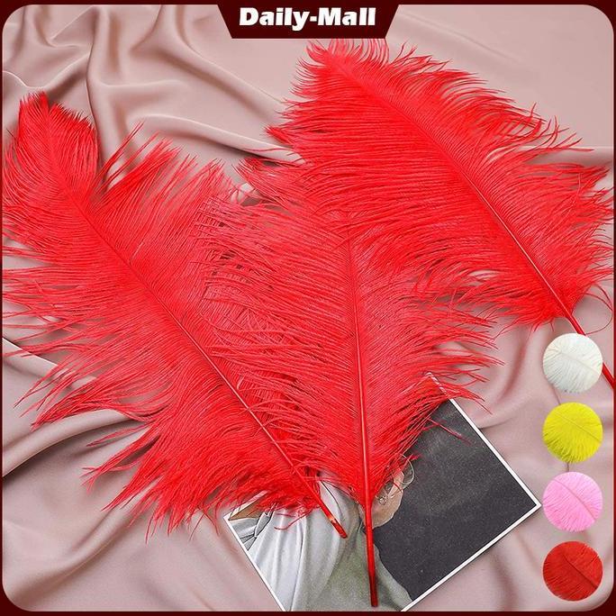 LEONAB Isi 5 Bulu Ostrich Feather 20-25 Cm Bulu Ostrich Craft Dekorasi Props