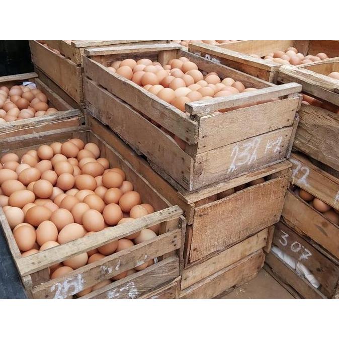 Telur Ayam 1 Peti 15 Kilogram BS
