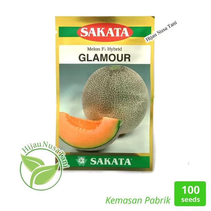 Benih Melon Hibrida GLAMOUR - Sakata Jepang
