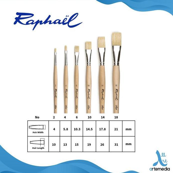 Kuas Lukis Raphael 363 Flat Oleo White Bristle Brush Long Handle