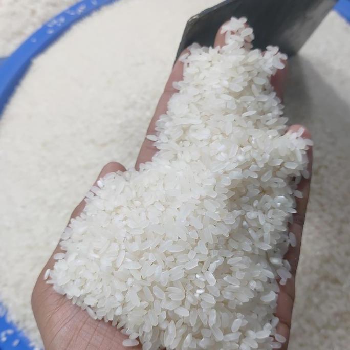 Beras pandan wangi 50kg
