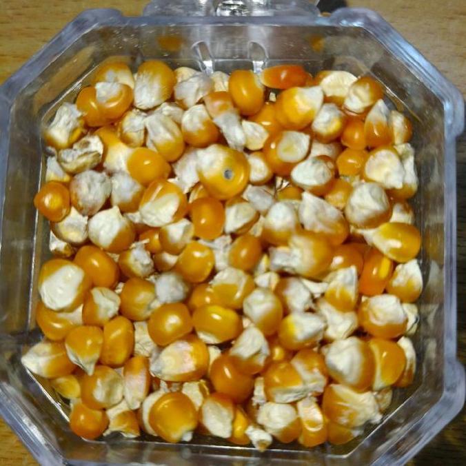 Jagung Super 25KG Pakan Ternak SS