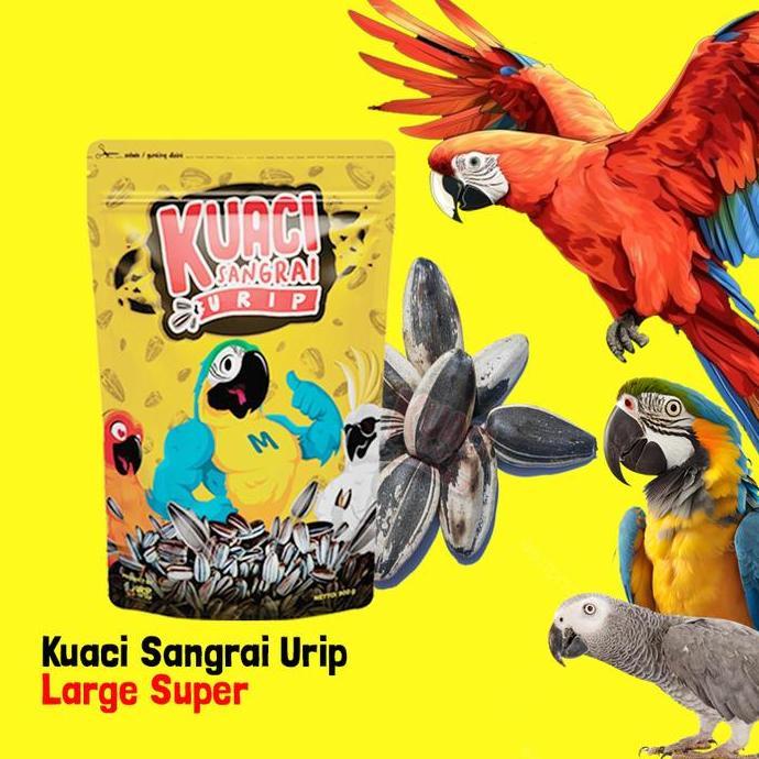 KUACI SANGRAI SUPER JUMBO UNTUK BURUNG KAKATUA MACAW AFGREY AMAZON