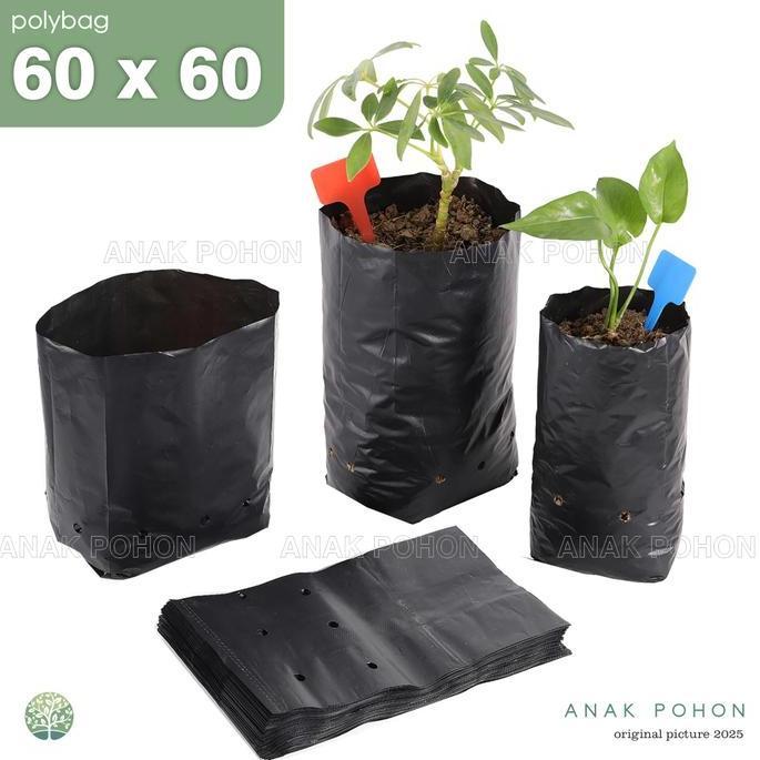 Polybag Polibag Plastik Ukuran 60 x 60 cm - Kualitas Premium Tebal