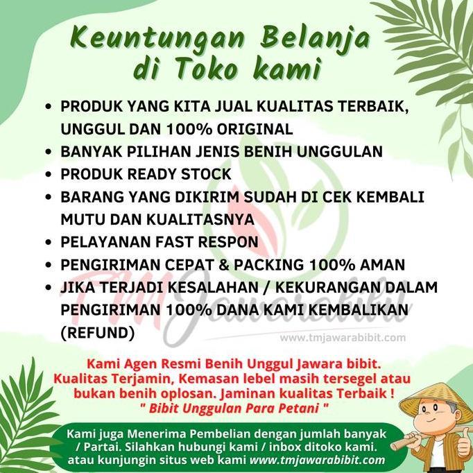 isi 10 gram bibit cabe rawit hijau LOJANA || produk asli JAWARA