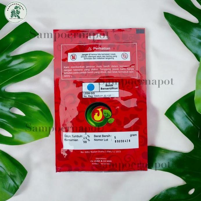Benih Bibit Kenikir Konikir Benih Unggul Jawara - DAUN KENIKIR KONIKIR