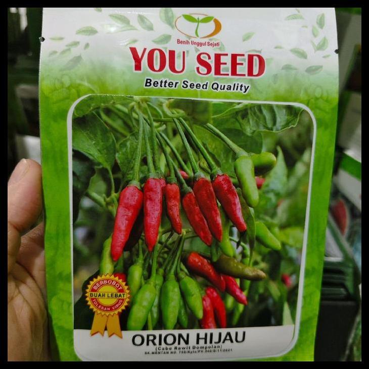 Promo / Benih Cabe Orion Hijau 10 Gram Cabe Rawit Dompolan Dari Youseed Cabe Rawit Hijau Crm Orion H