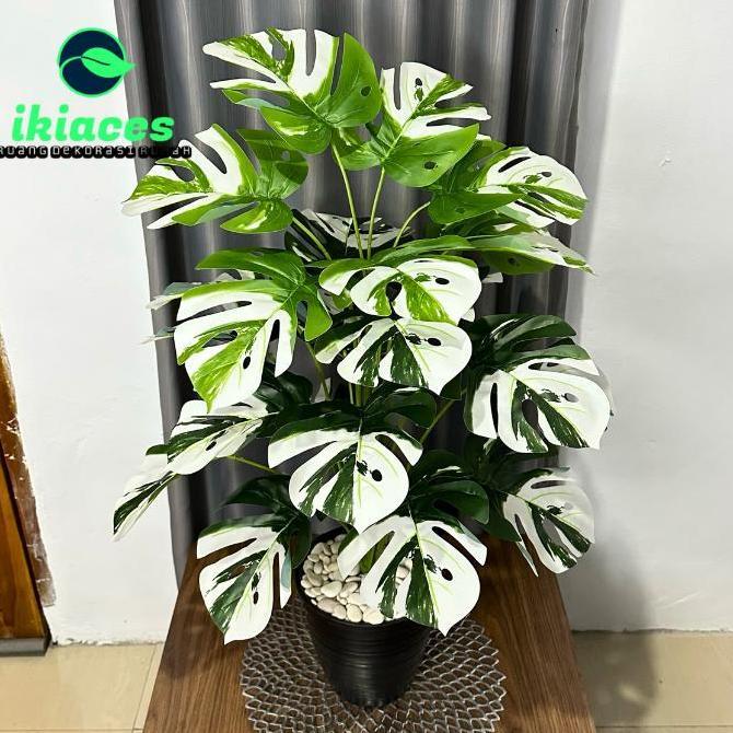 DAUN MONSTERA JUMBO VARIEGATA ARTIFICIAL 1 METER DAUN PLASTIK DEKORASI
