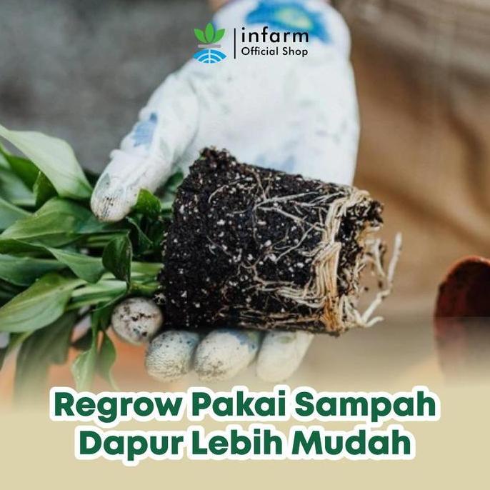 Glasrai- Infarm - Pupuk Akar Hormon Perangsang Akar Untuk Stek, Semai & Hidroponik , Akar Kuat, Tana