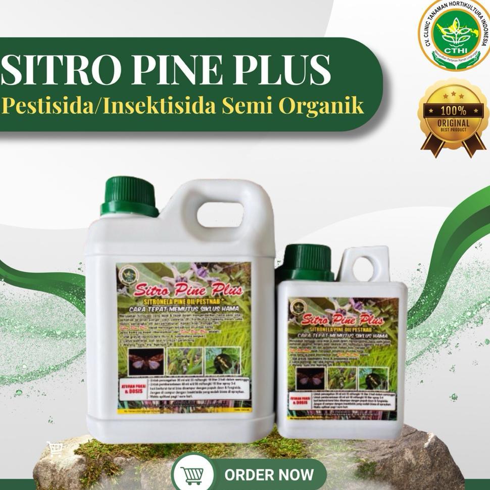 1 Sitro Pine Plus (Spp Cthi) | Pestisida Nabati Ramah Lingkungan Efektif Mengatasi Hama Ulat Grayak 
