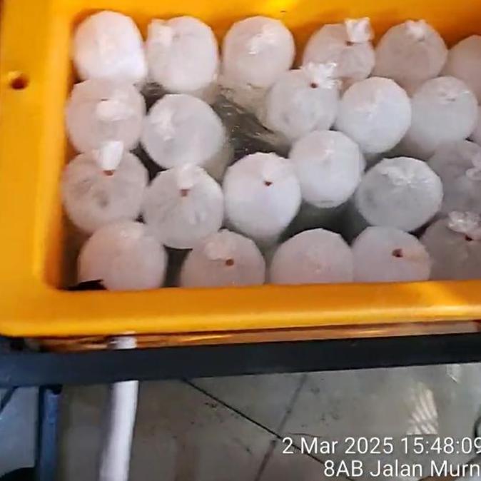 Mesin pembuat Es batu super cepat 3 sampai 3,5 jam-am beku kapasitas box 120 liter. pengiriman kesel