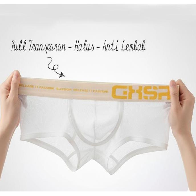 ORLVS Boxer Full Transparan GXSR
