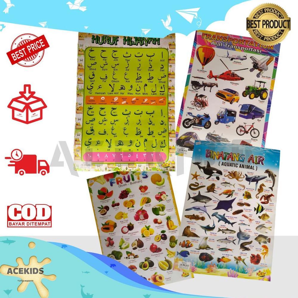 Poster Edukasi Anak Mengenal Huruf Dan Hewan Poster Kertas Dinding Anak Edukasi Poster Dinding Anak