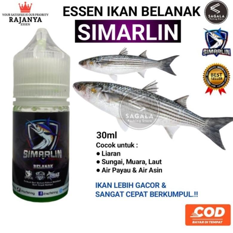 Essen Ikan Belanak Liar Paling Gacor | Essen Simarlin Diskon