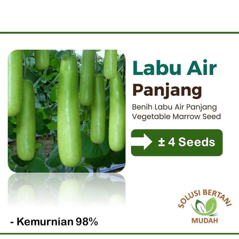 Promo Cod Bibit Benih Sayur Sayuran Paket Lengkap Varian Unggulan ><