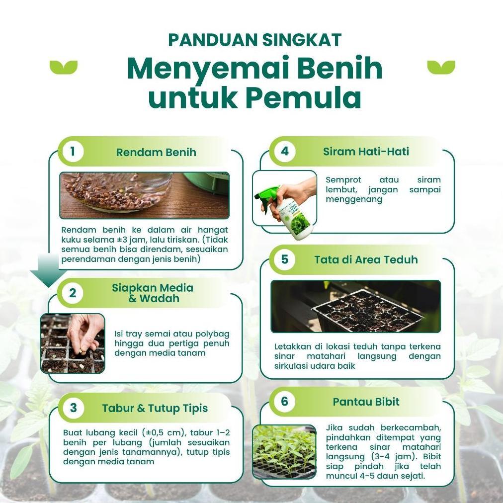 Promo Cod Benih Cabe Rawit Hijau Bibit Cabe Rawit Konsumsi Unggul Tahan Penyakit Benih Seribuan ><