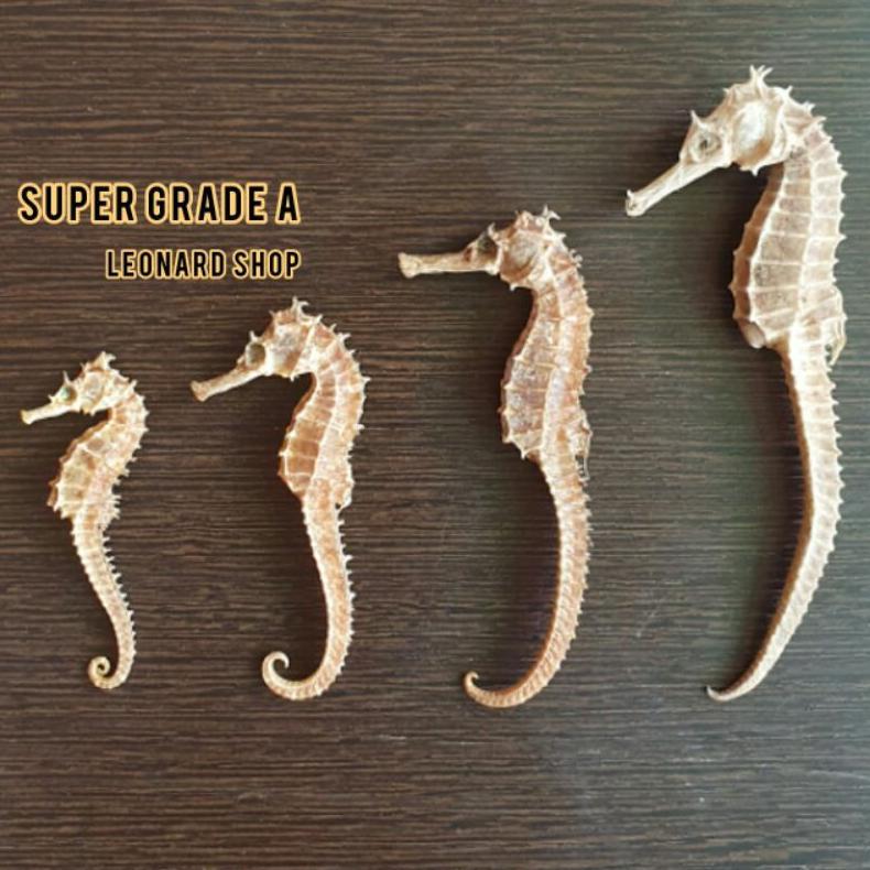 (Terbaru) KL HAI MA KERING SUPER HERBAL OBAT KESUBURAN PRIA WANITA / HAIMA / HAI MHA / GINSENG RENDA