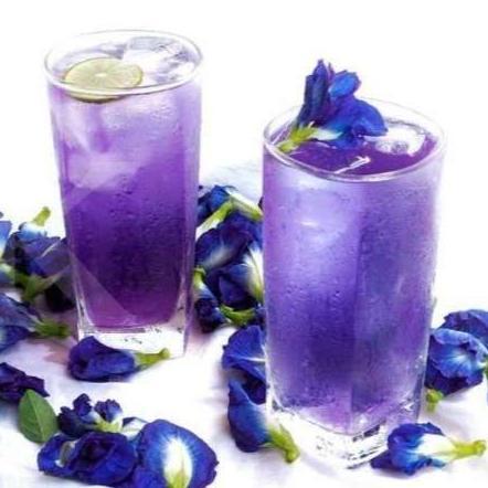 Benih Biji Bibit Bunga Telang Butterfly Pea Bunga Kupu Kupu Unggul