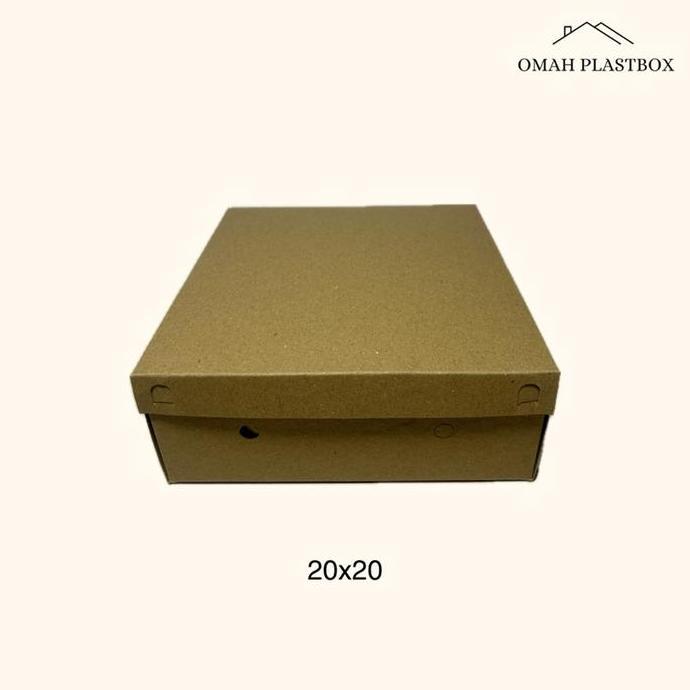 Dus Nasi Kotak Katering Coklat Polos 50pcs - Box Katering konsumsi