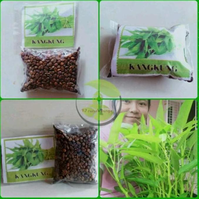 super jumbo benih kangkung 5 kg
