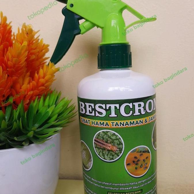 Parkz- Bestcron 500Ml Obat Pembasmi Hama Ulat,Belalang,Jamur Dan Kutu Putih