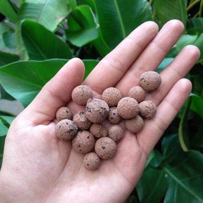 Parkz- Hydroton / Hidroton / Hydroton Clay Balls / Media Tanam Hidroton