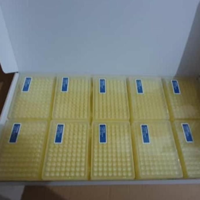 filter tips gsbio I 10/20/100/200/1000/1250 ul I universal tips