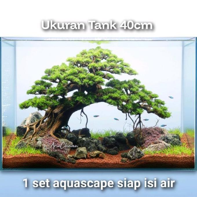 1 set aquascape siap isi air tema bonsai doyong model random ukuran 40cm