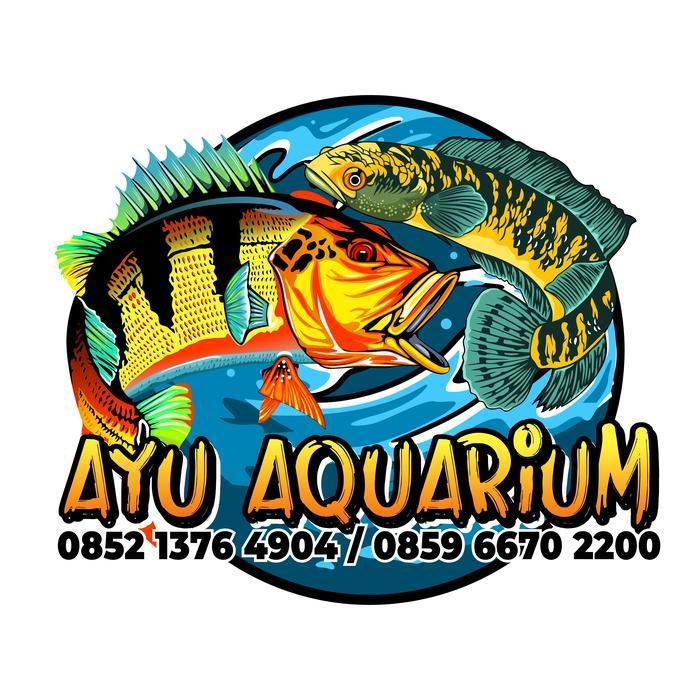 aquarium 120x50x50 rak holo +sump filter