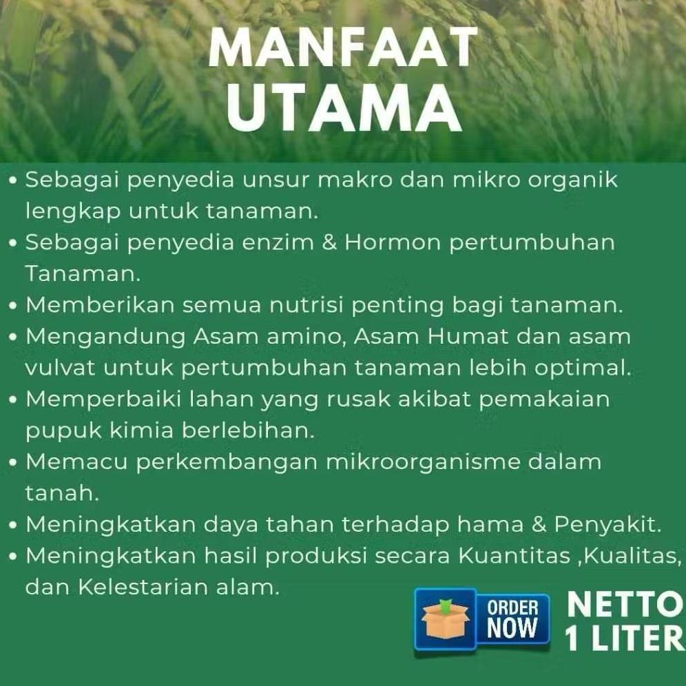 Promo Cod Pupuk Organik Cair / Pupuk Organik Cair Pupuk Padi Pelebat Anakan Padi Atau Bulir Padi ><