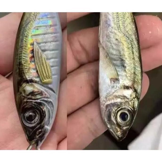 Jaaminkwalitas- Aquasite Metal J Bionik Mirip Ikan Lure Gid Super Realistik Untuk Angler Sejati