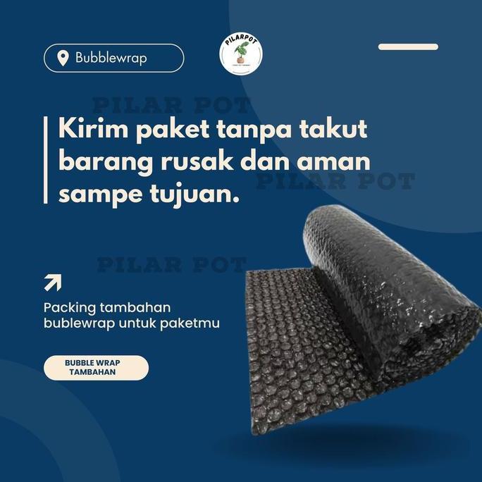Giardino- Benih Bibit Terong Ungu Panjang F1 Charming Known You Seed - Kys Terong Ungu Panjang F1 Ch
