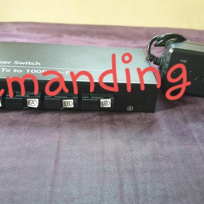 TERLARIS - Converter 4 port Fiber 2 port Lan 10 100 fiber optic