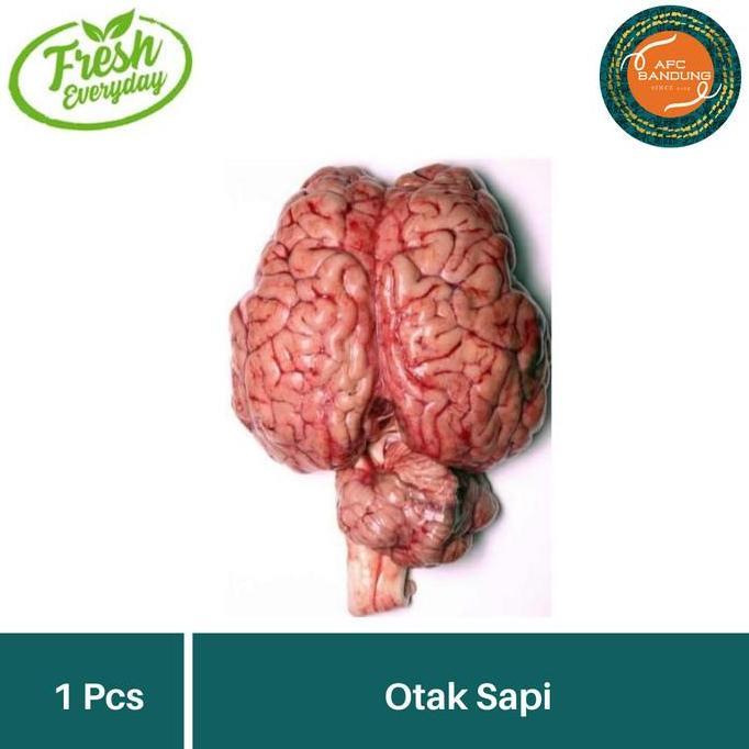 Carne- Otak Sapi Utuh Satuan Daging Otak Sapi Fresh 1Pcs Segar
