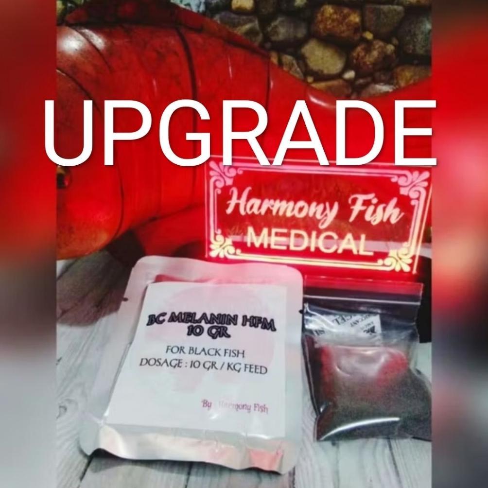 Terlaris Upgrade Bc Melanin @10Gr Bubuk Vitamin Pigmen Hitam Ikan Hias Koi Koki Channa Dan Lainnya I