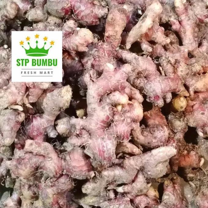 Newstockkita- Jahe Merah Besar Segar 1Kg / Jahai Merah Fresh