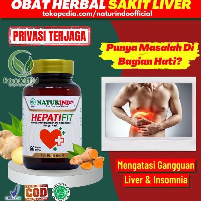 Obat Liver Batu Empedu Herbal Gatal Ampuh Alergi Hepatifit Naturindo