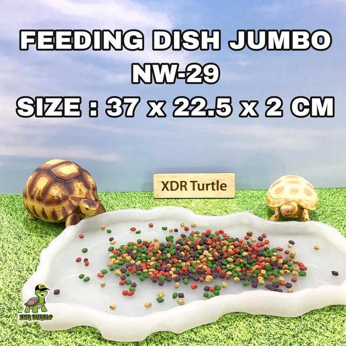 TERMURAH - FEEDING DISH NW-29 TEMPAT MAKAN TORTO REPTIL JUMBO SULCATA ALDABRA