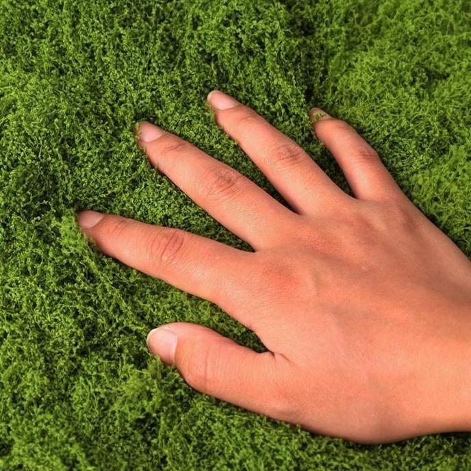 Sandagang78 - 100G Rumput Sintetis Aquascape Aquarium | Tawetan Tahan Lama Rumput Sintetis Aquascape