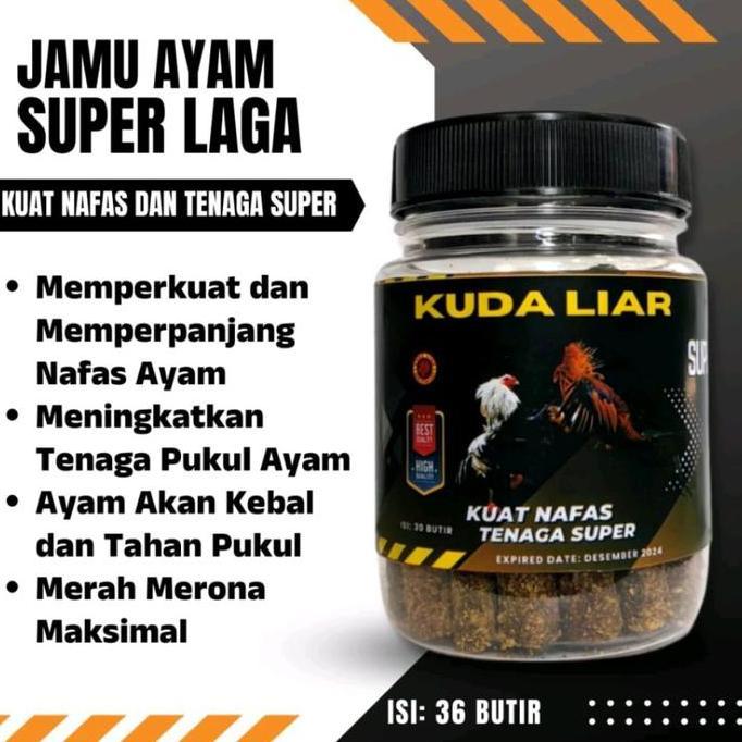 Dongmul- Jamu Ayam Super Laga Kuda Liar Kuat Nafas Tenaga Pukul Super Ayam Laga