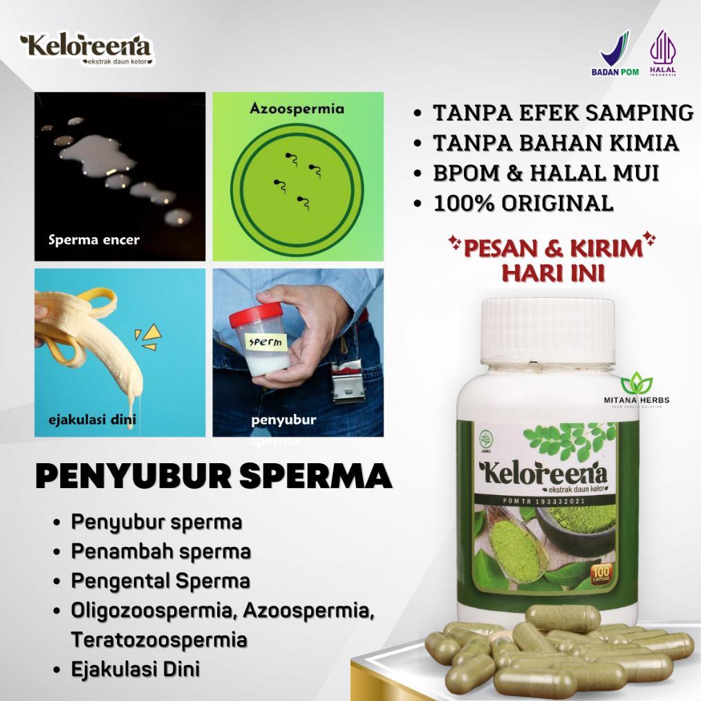 (Terbaru) Penyubur Sperma Pria - Penambah Sperma Pria - Obat Sperma Encer Promil - Pengental Sperma 